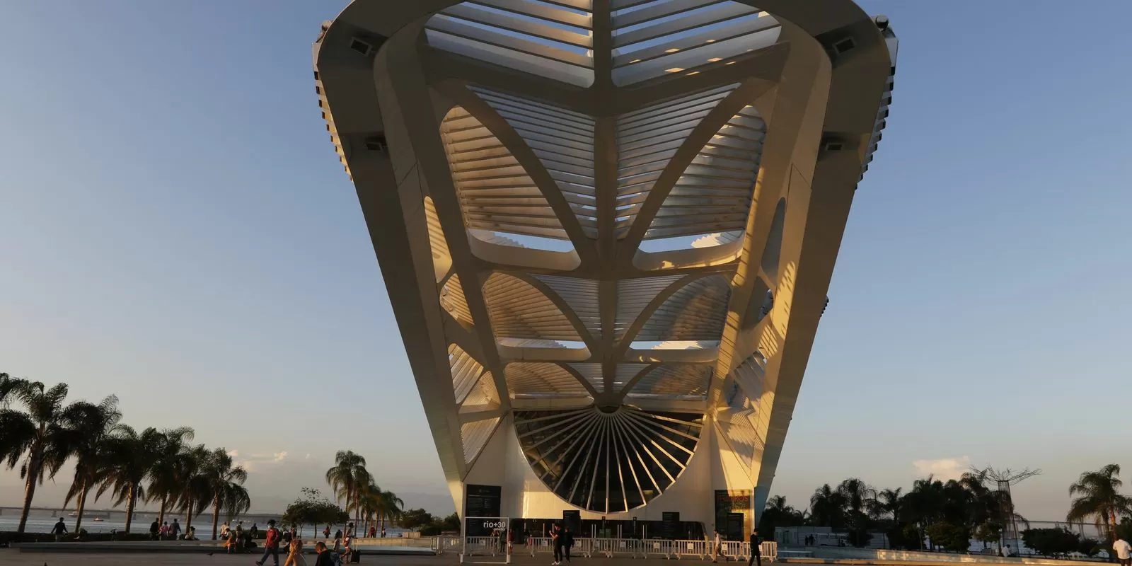 Museu do Amanhã completa 10 anos com exposição sobre os mares