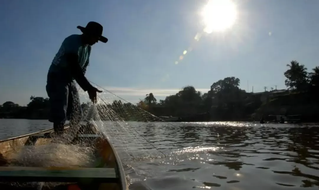 El Niño pode aumentar captura de peixes na costa Sul do Brasil