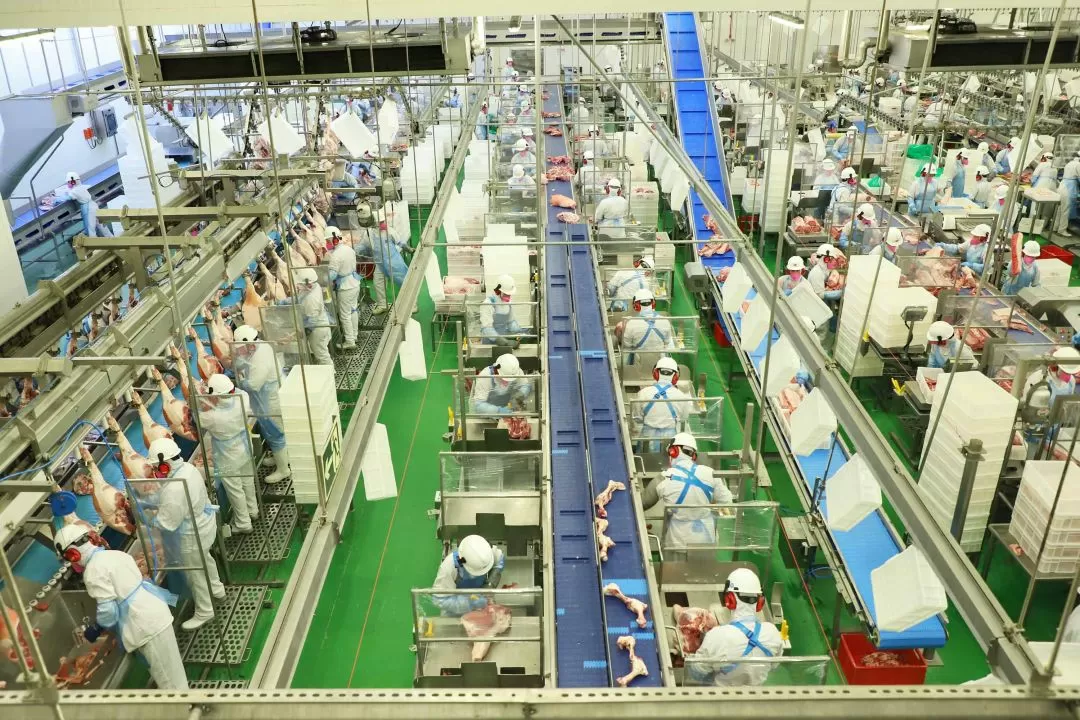 Acordo Mercosul-UE trará ganhos em quase todos os setores do agronegócio