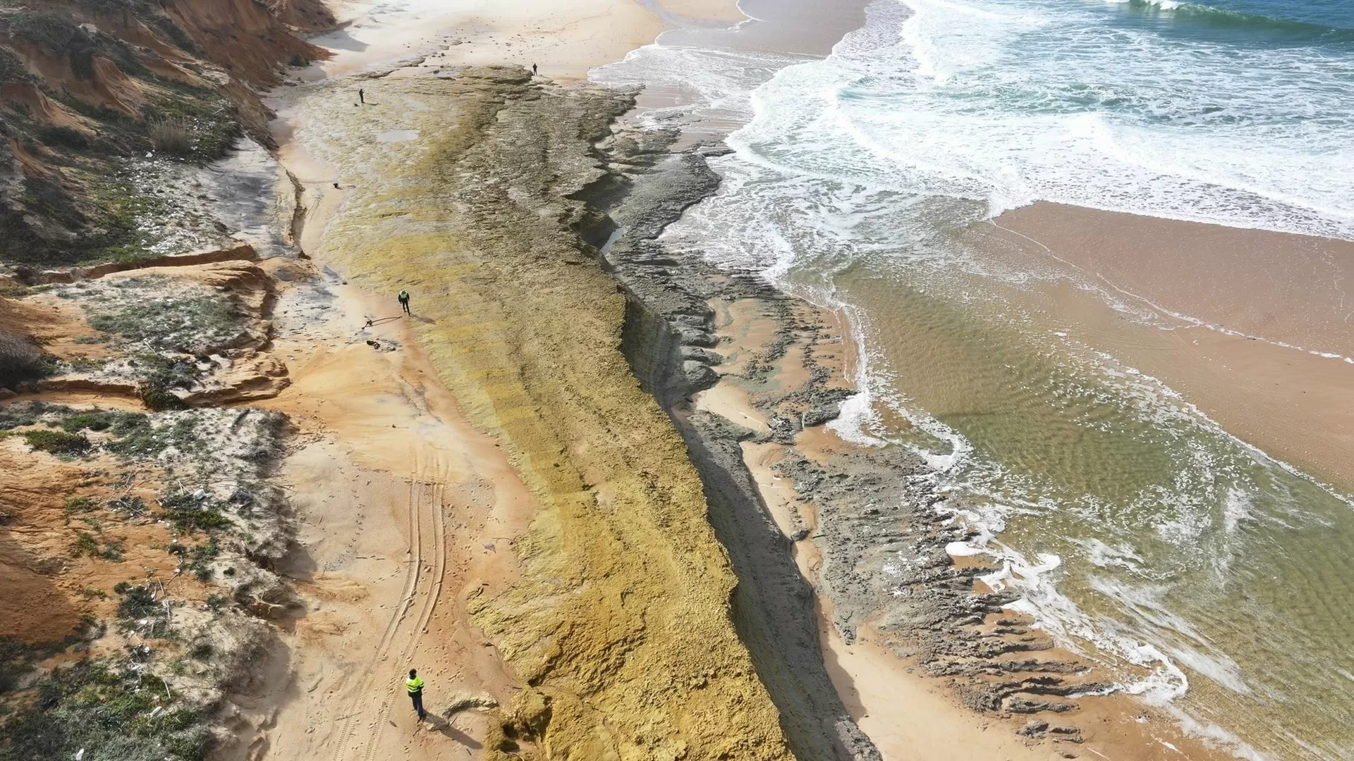 Descobertos fósseis a norte da praia da Galé (Fontainhas) em Grândola
