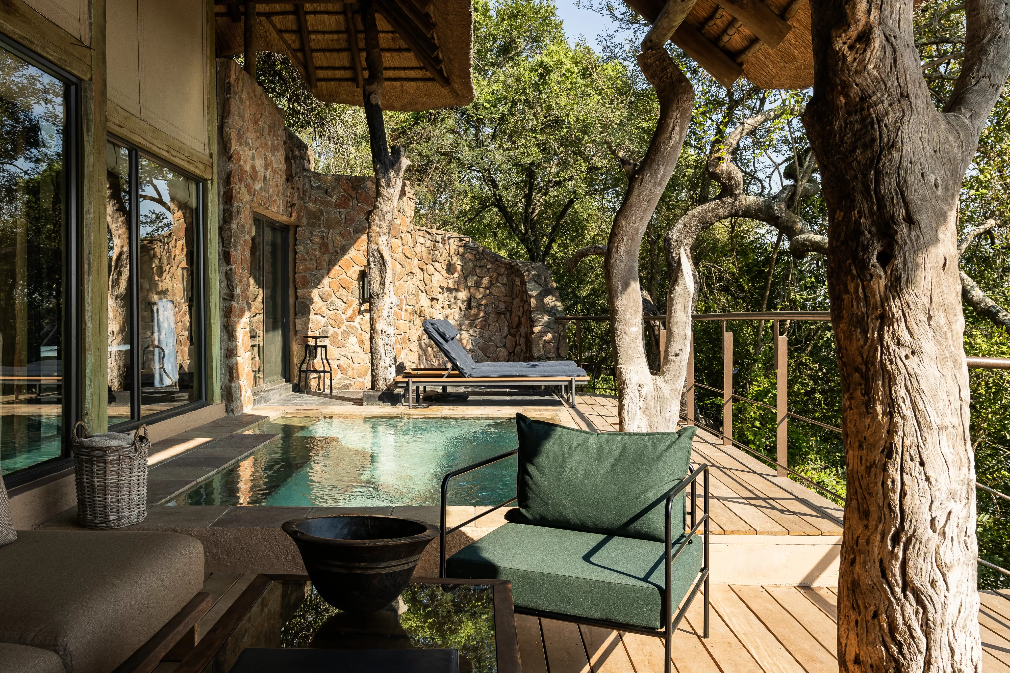 Grupo hoteleiro amplia experiência na África do Sul com hospedagem e conservação ambiental