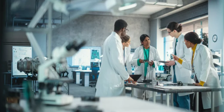 Flores comestíveis têm benefícios para a saúde?