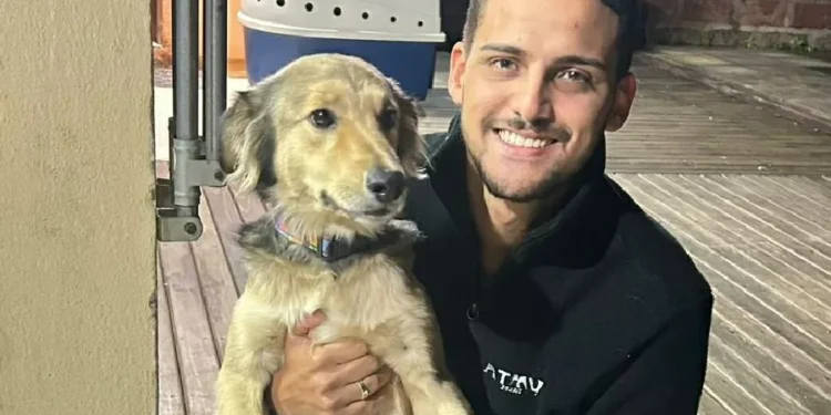 Tutores vivem reencontros emocionantes com seus pets no RS