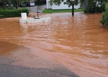 Aldeia de Brinches afetada por "tromba de água" que causou inundações