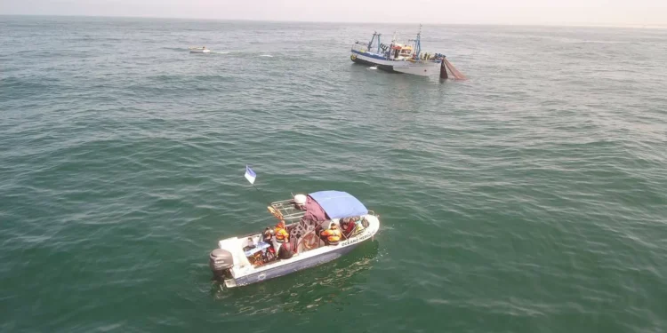 "Condições desfavoráveis". Buscas vão ser suspensas na Marinha Grande