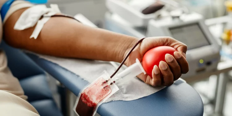 Falta de sangue. "Temos de começar a preparar o verão em fevereiro"