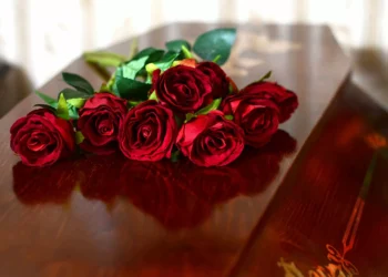 Mortalidade aumenta 3,8% em junho, relativamente ao mesmo mês de 2023