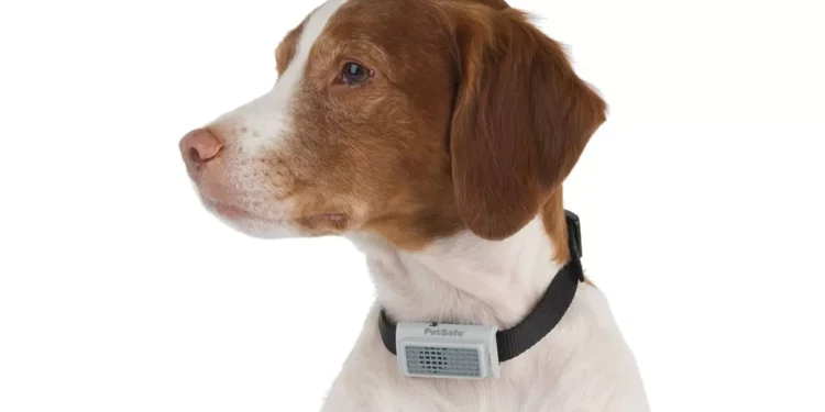 Gigante do setor pet lança campanha contra produtos nocivos. Saiba quais