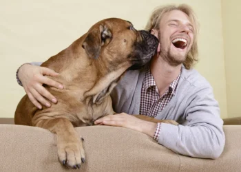 Alegria ou caos? A polêmica em torno de animais de estimação no trabalho