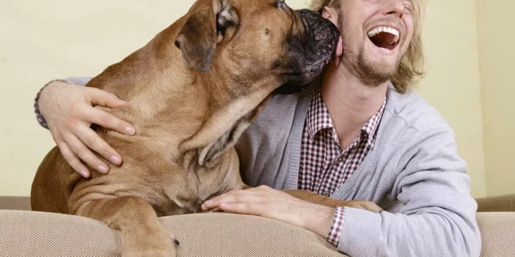 Alegria ou caos? A polêmica em torno de animais de estimação no trabalho