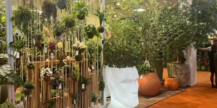 Festas, paisagismo, esotérico: as novidades da decoração para o final do ano