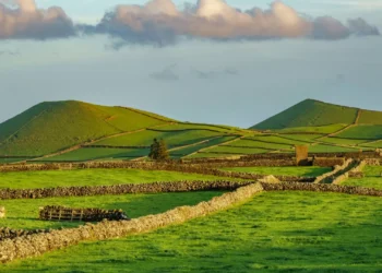 Festas da Serreta e São Carlos motivam tolerâncias de ponto na Terceira