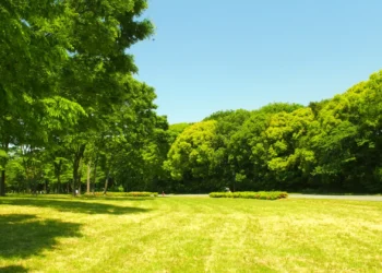 Construção de parque verde de Pombal começa no primeiro semestre de 2025