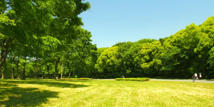 Construção de parque verde de Pombal começa no primeiro semestre de 2025