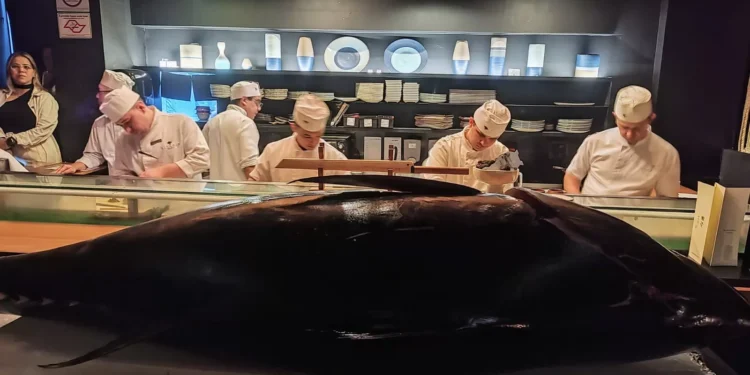 Conheça a cerimônia Kaitai, em que o atum bluefin é cortado em frente aos clientes em restaurantes japoneses