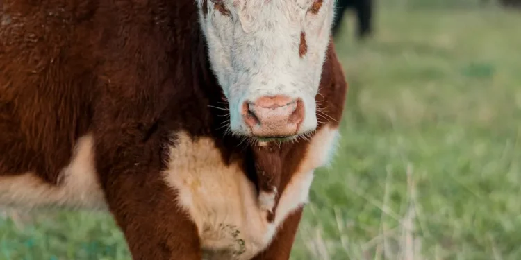 “O impacto positivo do setor privado na economia”