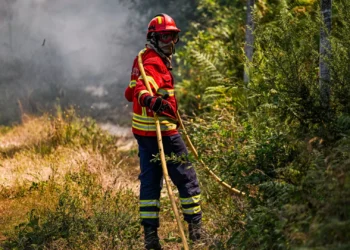 Fogo no planalto de Monforte em fase de resolução desde as 20h45