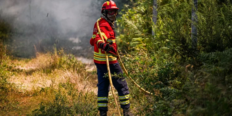 Fogo no planalto de Monforte em fase de resolução desde as 20h45