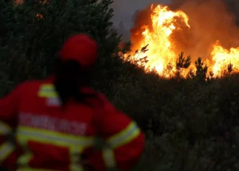Chamas acalmaram em Vila Pouca de Aguiar, três fogos em resolução