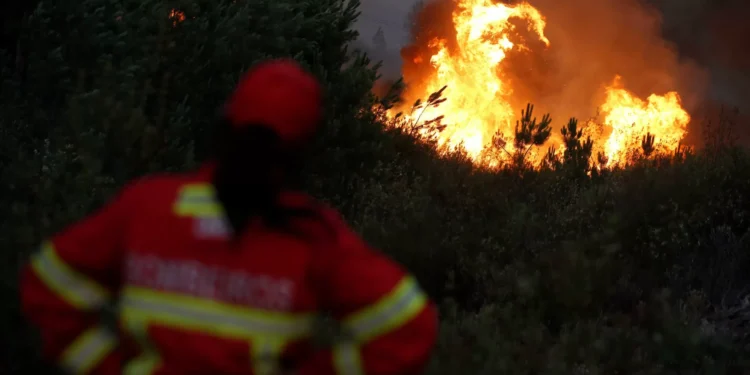 Chamas acalmaram em Vila Pouca de Aguiar, três fogos em resolução