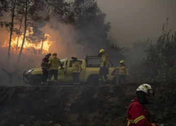 Dois fogos em resolução e outro a evoluir de forma favorável em Aveiro