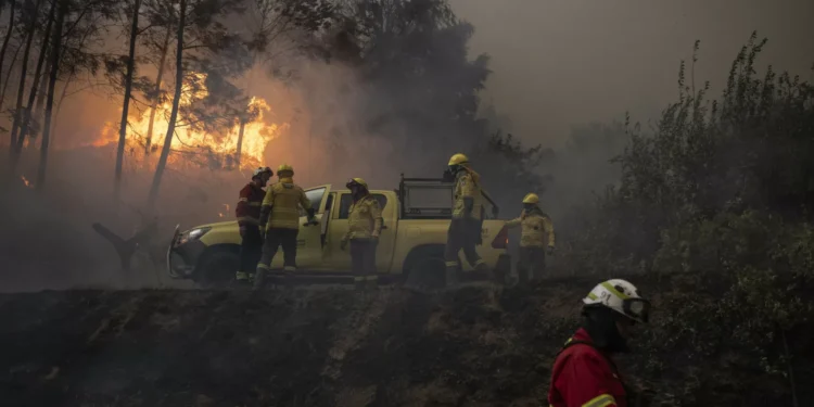 Dois fogos em resolução e outro a evoluir de forma favorável em Aveiro
