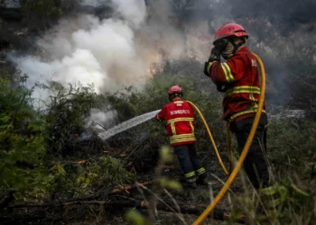 Mais de 280 operacionais combatem fogo no concelho de Pombal