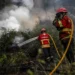 Mais de 280 operacionais combatem fogo no concelho de Pombal