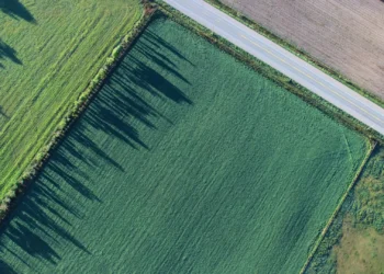 Agricultores alertam Marcelo para baixa execução de fundos para floresta