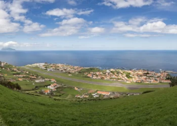 PS/Açores questiona governo sobre peixes com “comportamento invulgar”