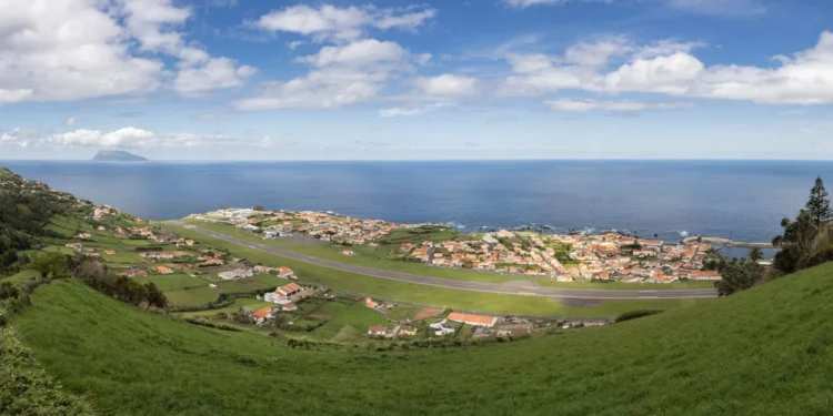 PS/Açores questiona governo sobre peixes com “comportamento invulgar”