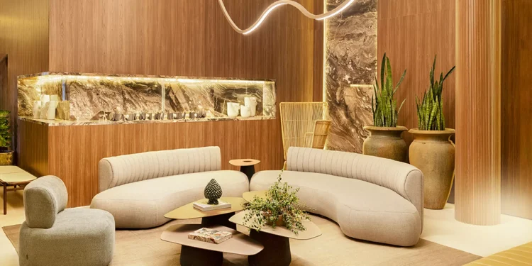 Projetos incentivam produção de móveis feitos de árvores caídas na Amazônia