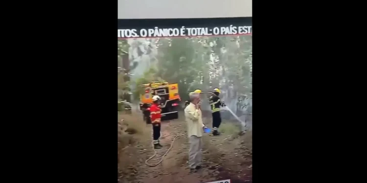 Vídeo de homem a atirar cigarro junto a chamas em Águeda chega ‘lá fora’