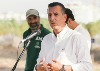 Nuno Piteira Lopes é o candidato do PSD à Câmara de Cascais