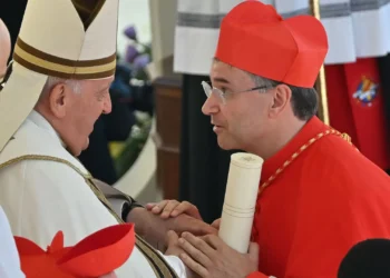“Nenhum de nós está preparado”. Américo Aguiar é cardeal há um ano