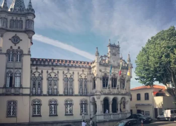 Renato Pino vence Prémio Maria João Fontaínhas 2024