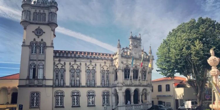 Renato Pino vence Prémio Maria João Fontaínhas 2024