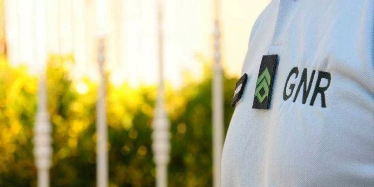 GNR apreende 3.878 doses de haxixe em Castelo de Vide. Suspeito detido