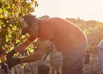 Polícias registaram 92 crimes de tráfico de pessoas em 2023