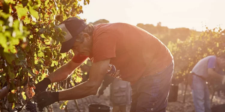 Polícias registaram 92 crimes de tráfico de pessoas em 2023
