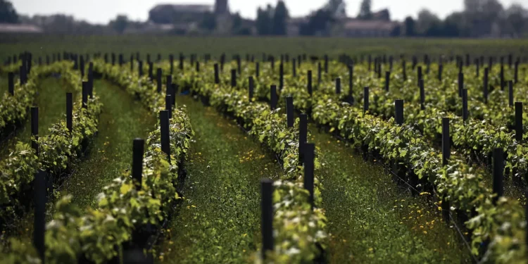 A nova pista que pode levar à solução do mistério da fórmula da Coca-Cola