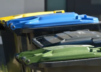 Lixo pode trazer pragas a Lisboa? Câmara espera “não chegar a extremo”