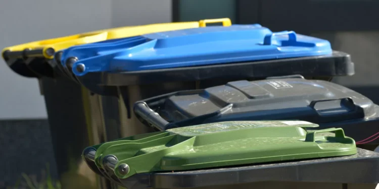 Lixo pode trazer pragas a Lisboa? Câmara espera “não chegar a extremo”