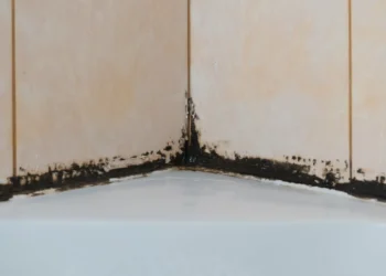 Truque muito simples para livrar-se do bolor no silicone das juntas do WC