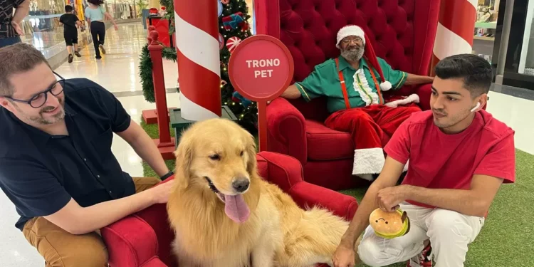 Pets ganham trono para tirar foto com Papai Noel