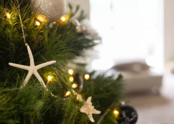 Dicas para garantir que o seu pinheiro natural ‘sobrevive’ até ao Natal