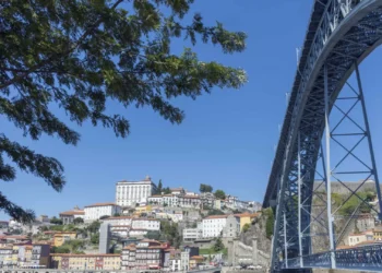 PSP investiga agressão a presidente da junta do Centro Histórico do Porto