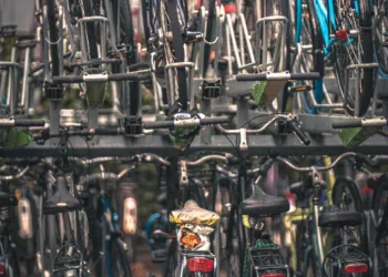 “O papel da Economia no desenvolvimento social”