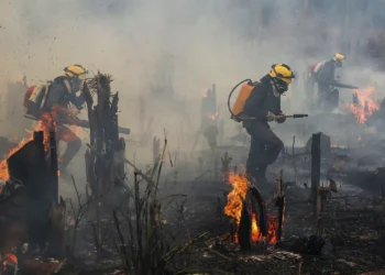Previsão astrológica para o Brasil, em 2025, é de riscos para catástrofes ambientais