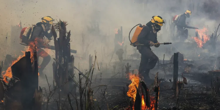 Previsão astrológica para o Brasil, em 2025, é de riscos para catástrofes ambientais
